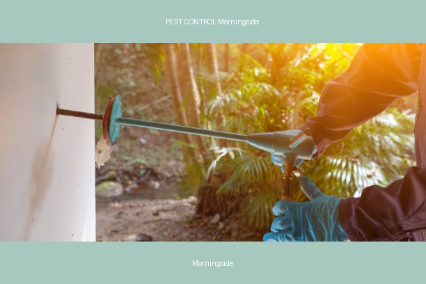PEST CONTROL Morningside